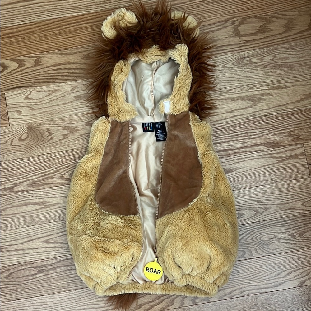 Lion Costume Vest for Kids